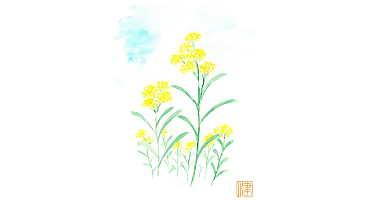 母子草（ははこぐさ）