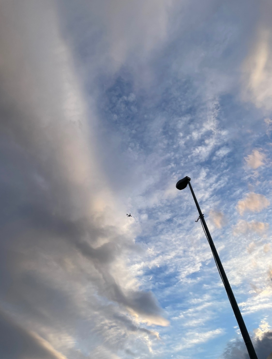 「どう感じるか」よりも「どう受け止めて処理するか」