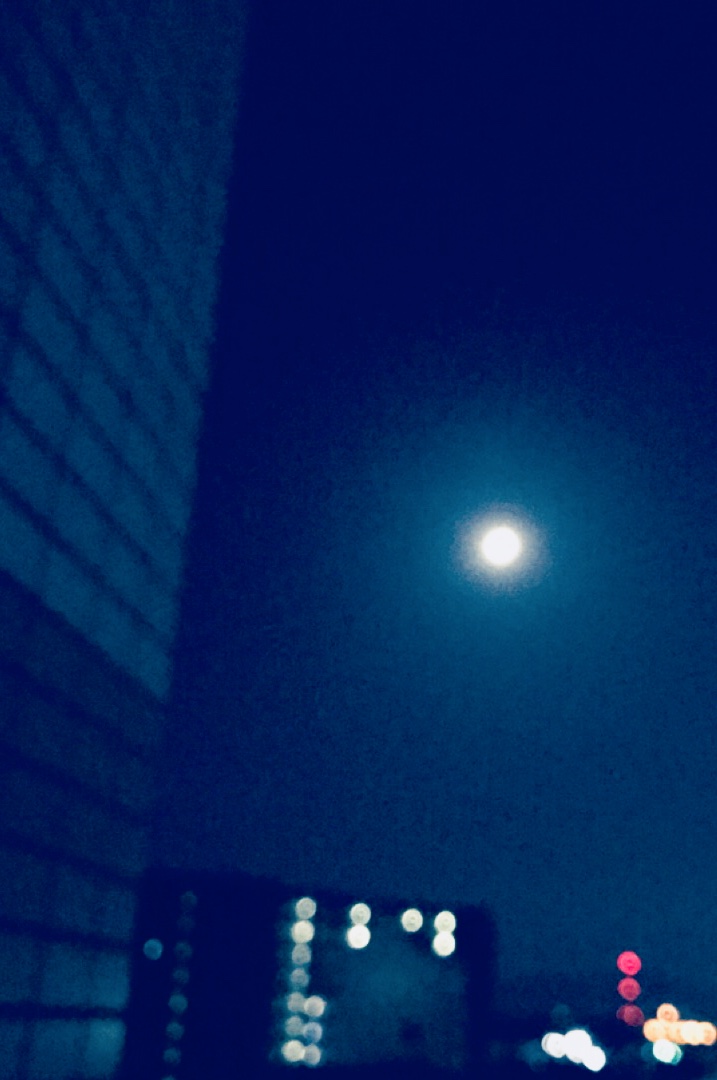 白い月