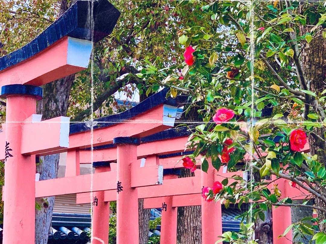 『花を踏み殺す音』