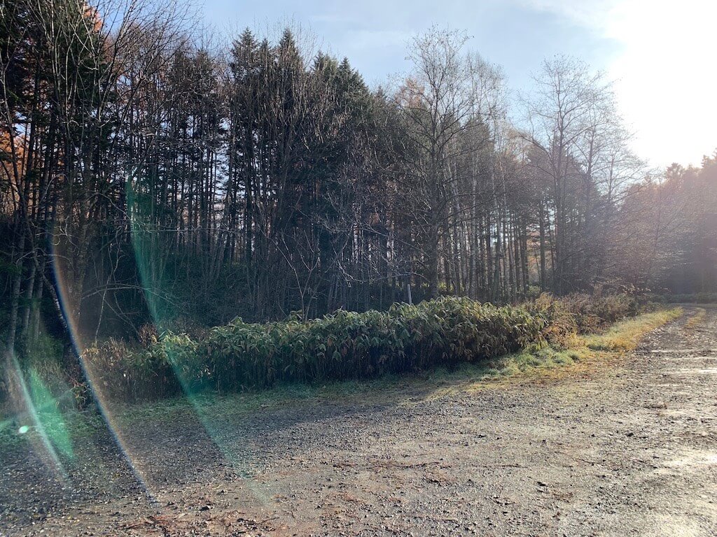 恋した瞬間、世界が終わる 第１３部 白妙の衣手