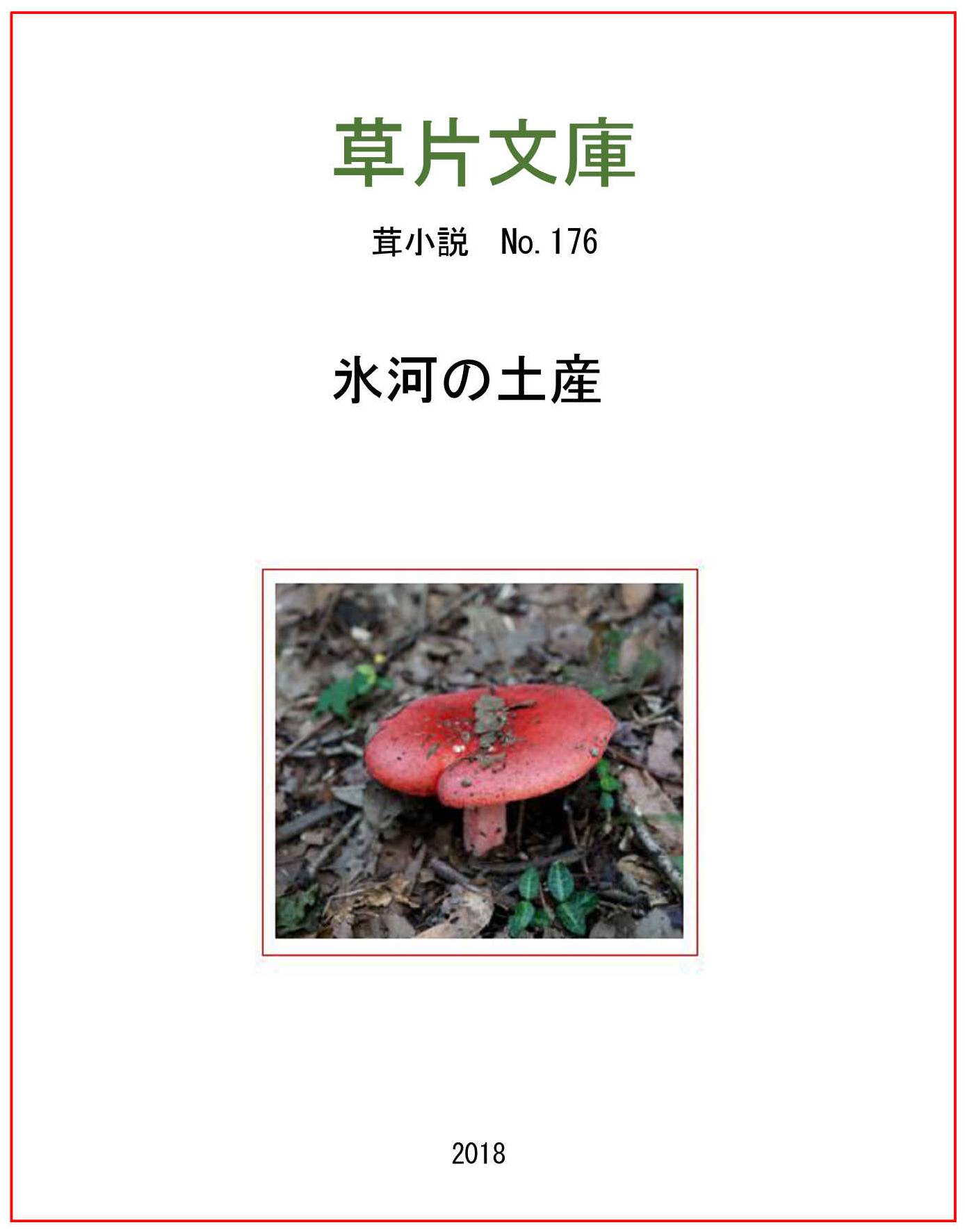 氷河の土産