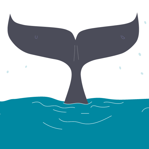 『不思議の国。』