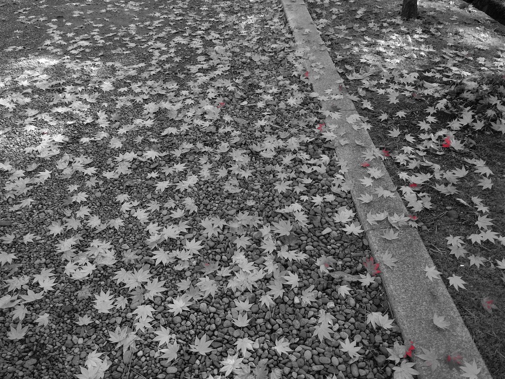 第９７話「モノリス、居場所（ココ）