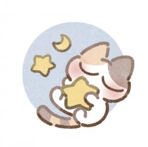 波打ち際の猫。