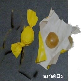 Mariaの日記 -4-