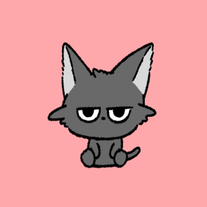 波打ち際の猫。