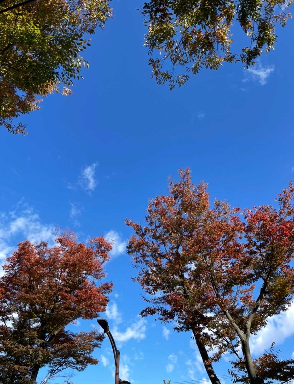 「やらなきゃいけない」をやめてみると広がる世界