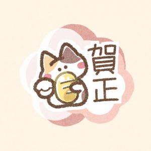 波打ち際の猫。