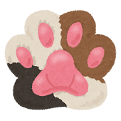 波打ち際の猫。