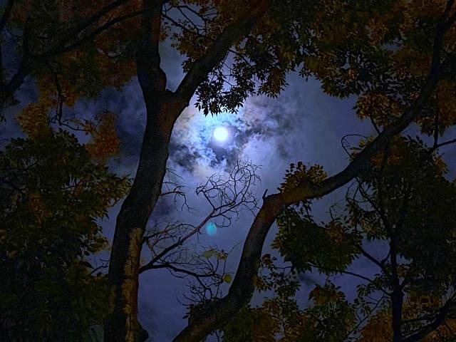 暗闇を突っ切る勇気