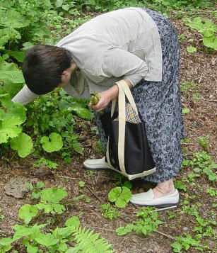 猫の気持ちがわかりますか....ご主人さまは短足