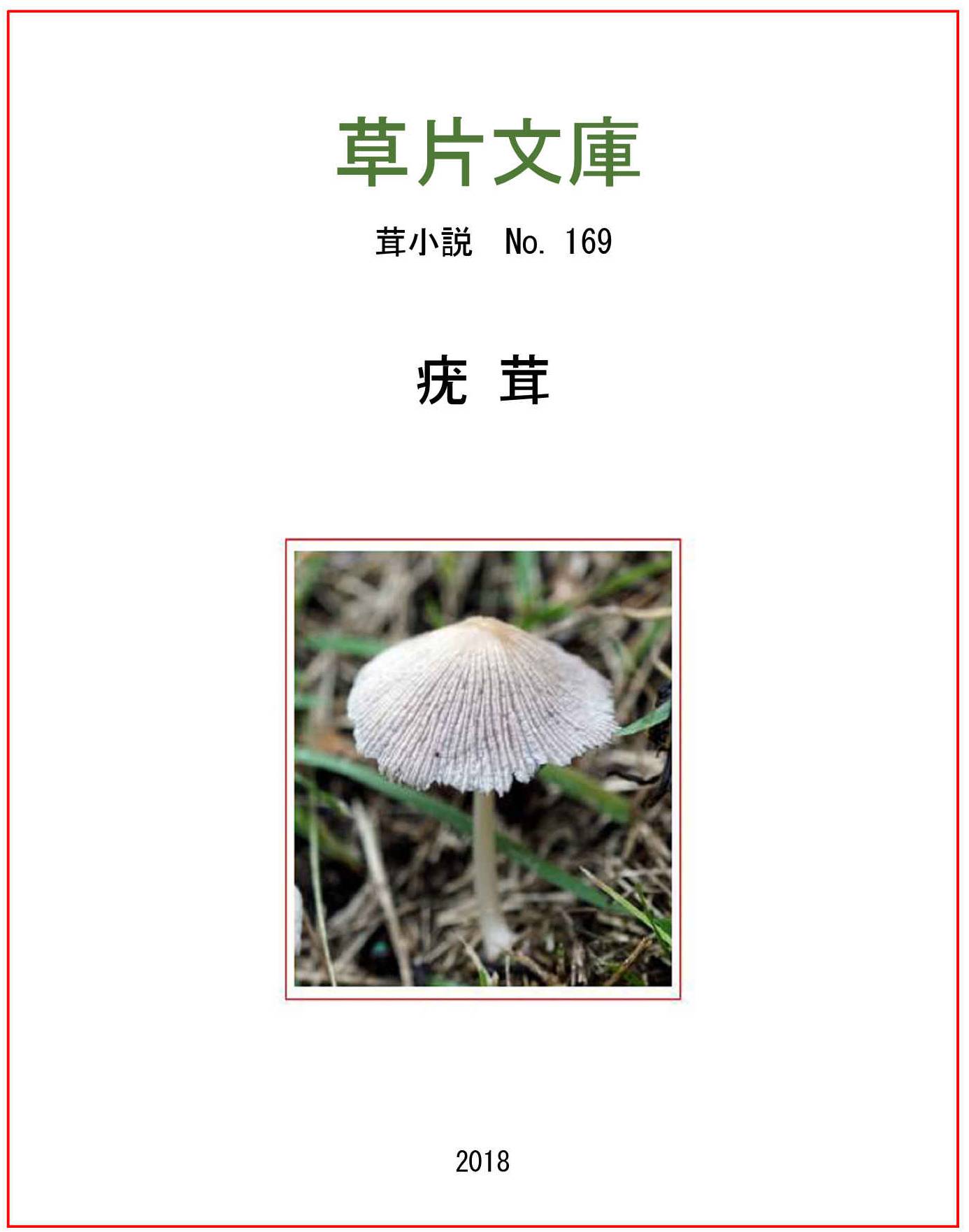 疣茸