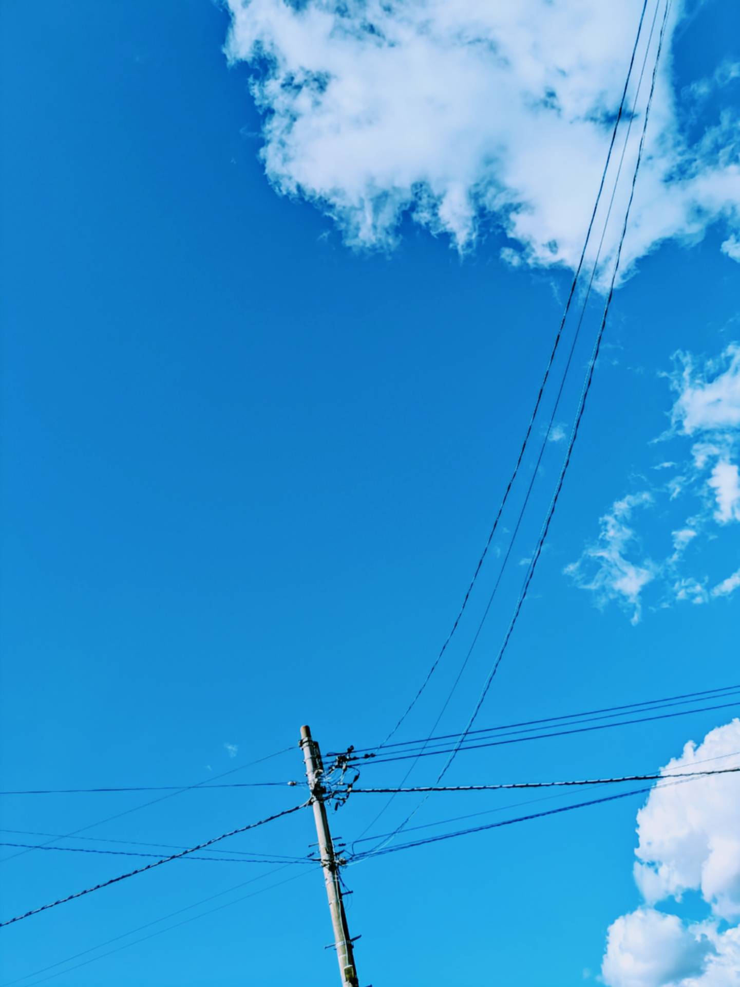 『なんもしったこっちゃない。』