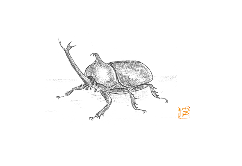 ぼくとダイちゃんのカブトムシ