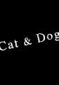 Cat & dog