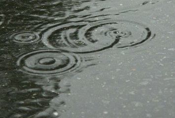 悲しみの雨