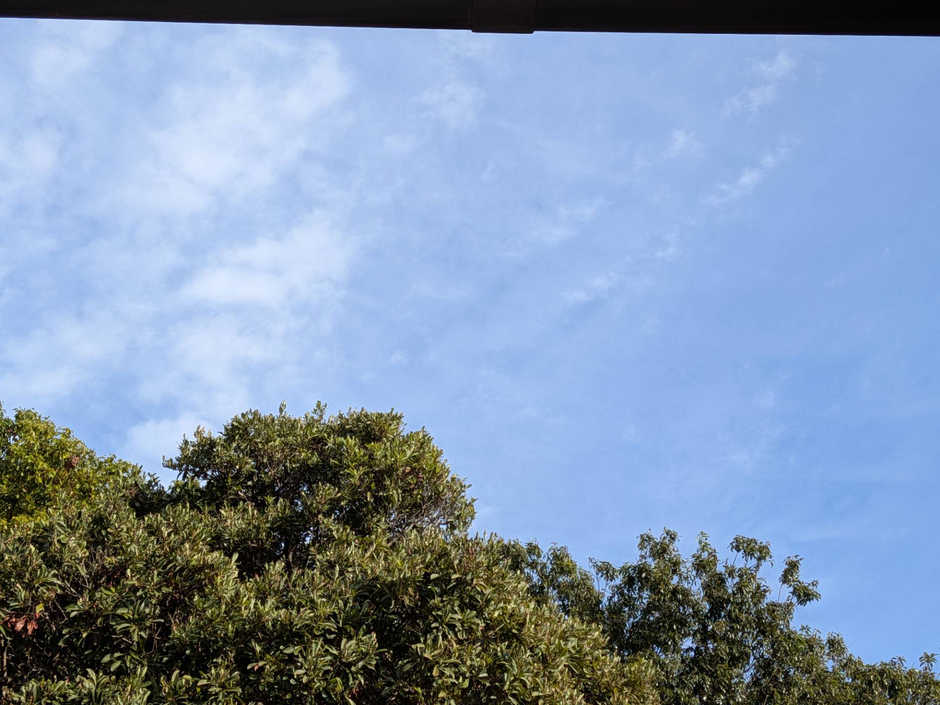 空の演奏者～届けこの歌～