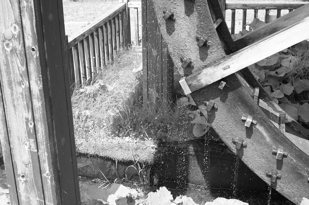 恋した瞬間、世界が終わる 第９８話「水滴の余白」