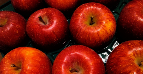 もういちど林檎の木の下を