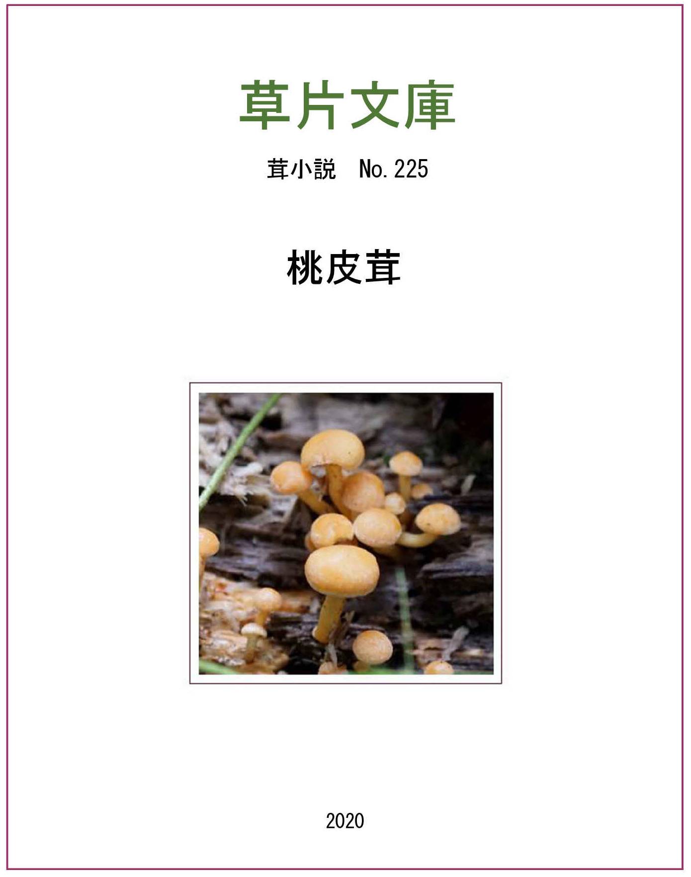 桃皮茸