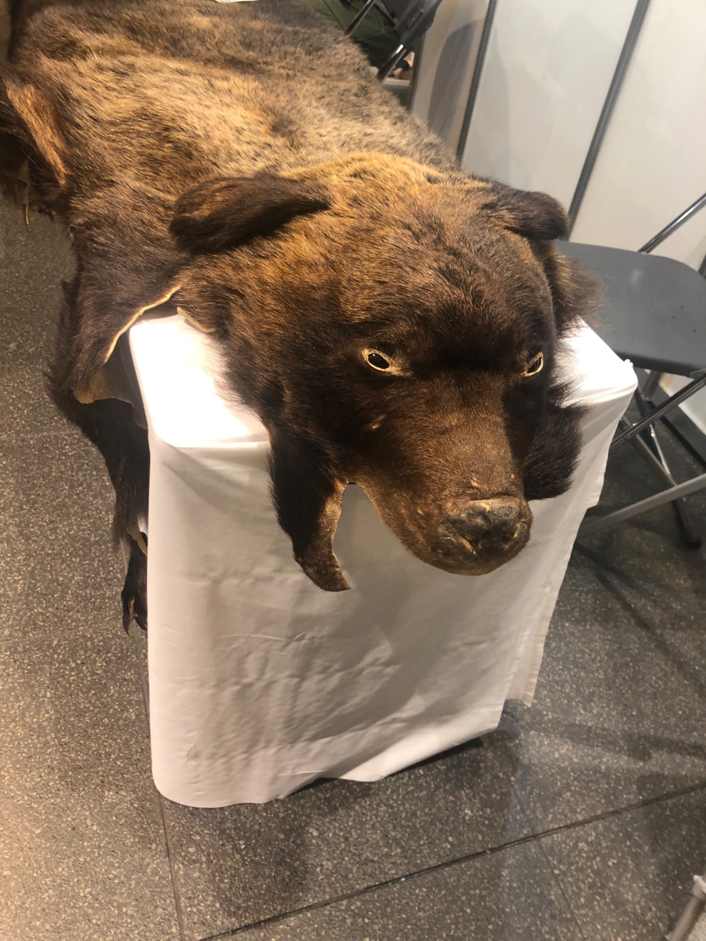 あの騒動と共に歌詞考察してみた