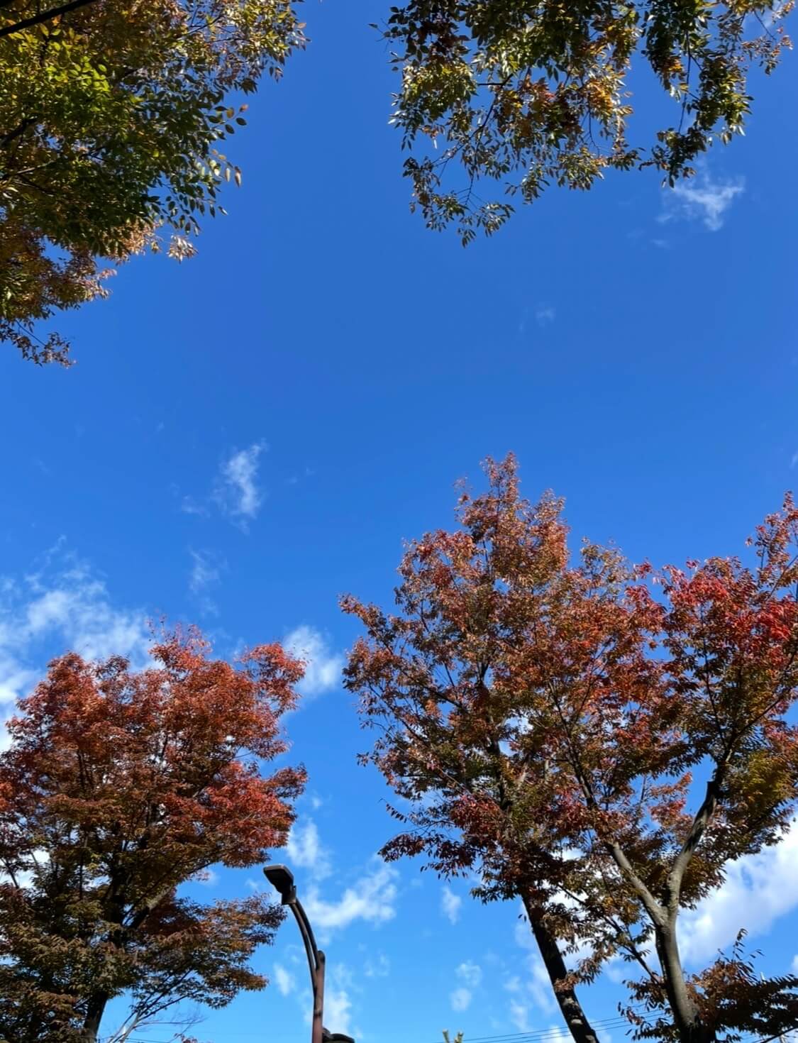 「やらなきゃいけない」を「やってみよう」に言い換えるだけで世界は変わる