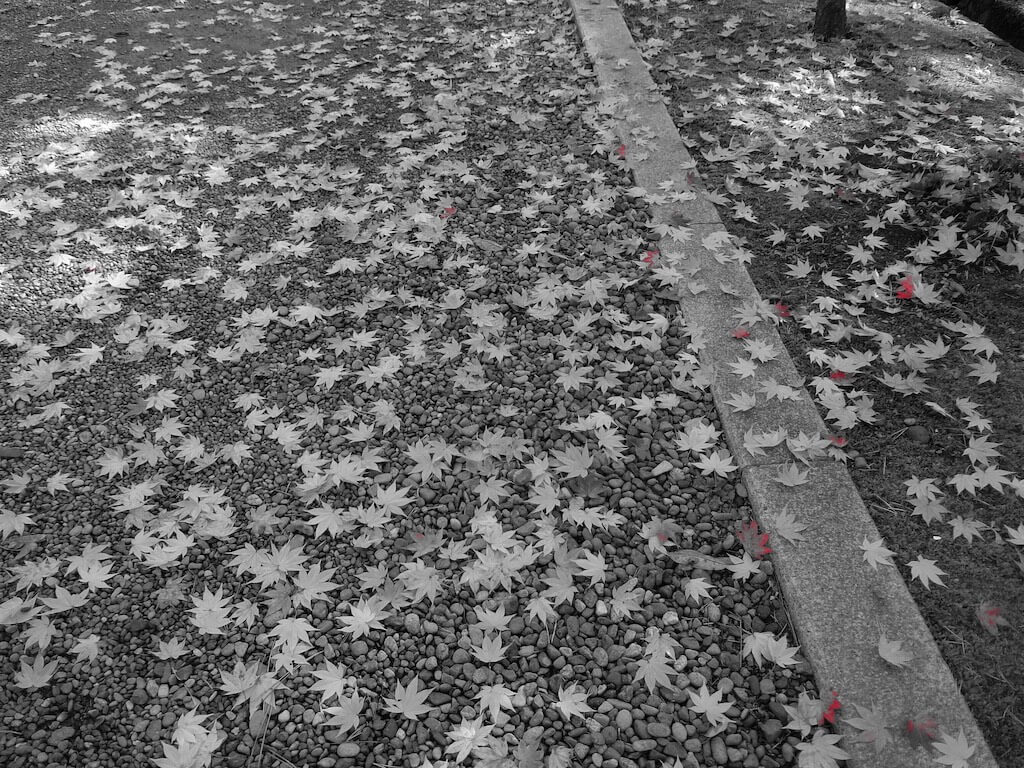 恋した瞬間、世界が終わる 第９７話「モノリス、居場所（ココ）」