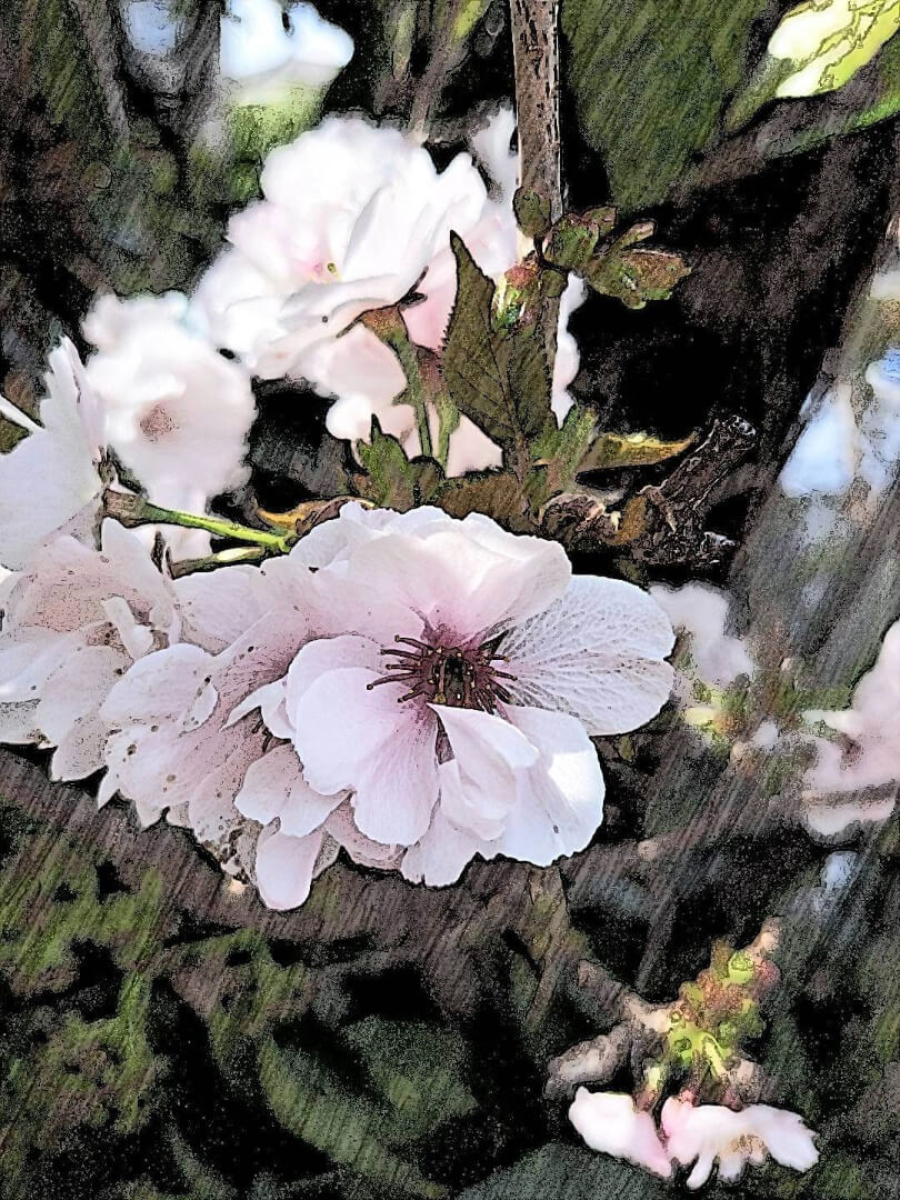言葉本来の役割とは