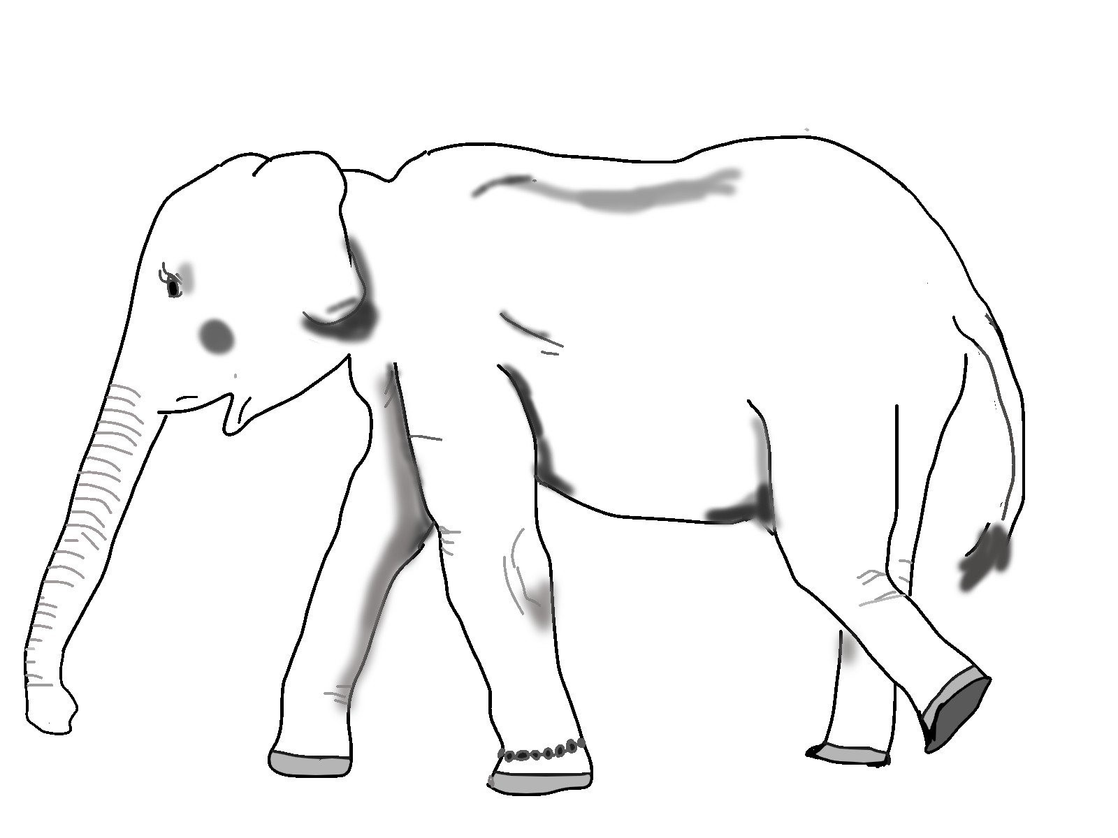 モイチと大きな白い象