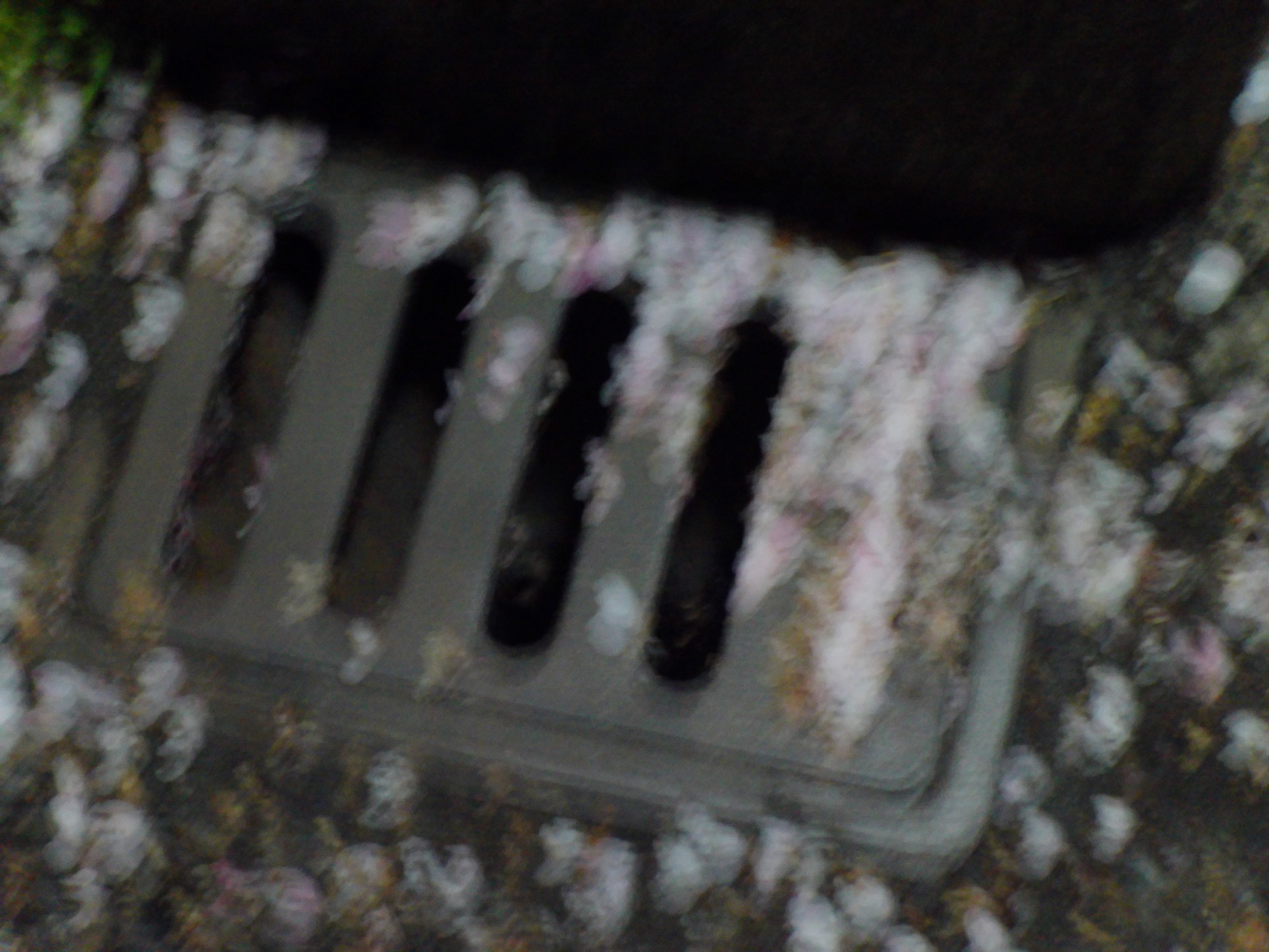 好きとセックスはイコールなのか