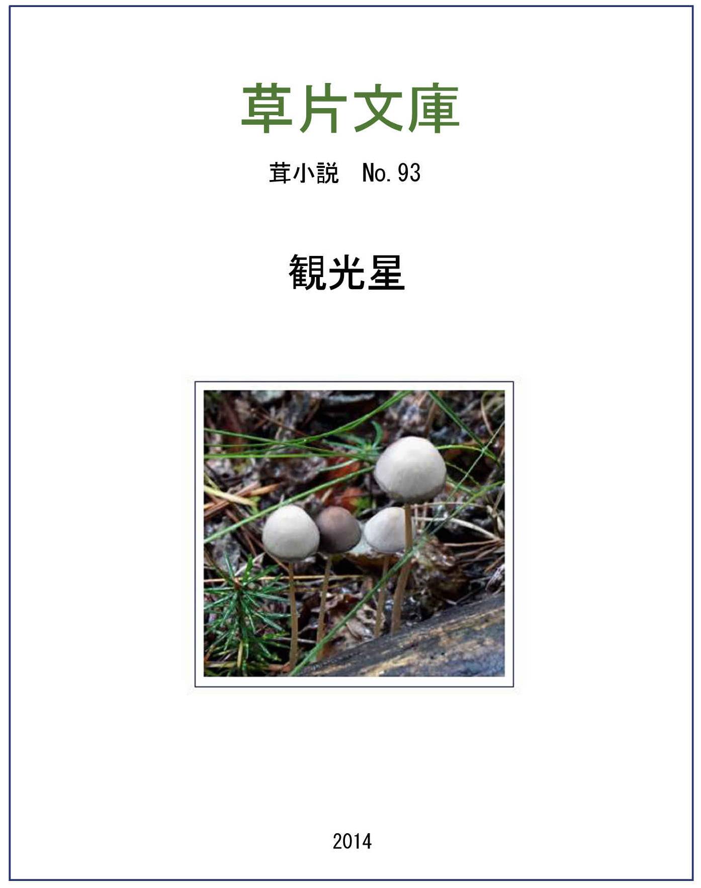 観光星