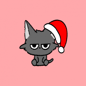 波打ち際の猫。