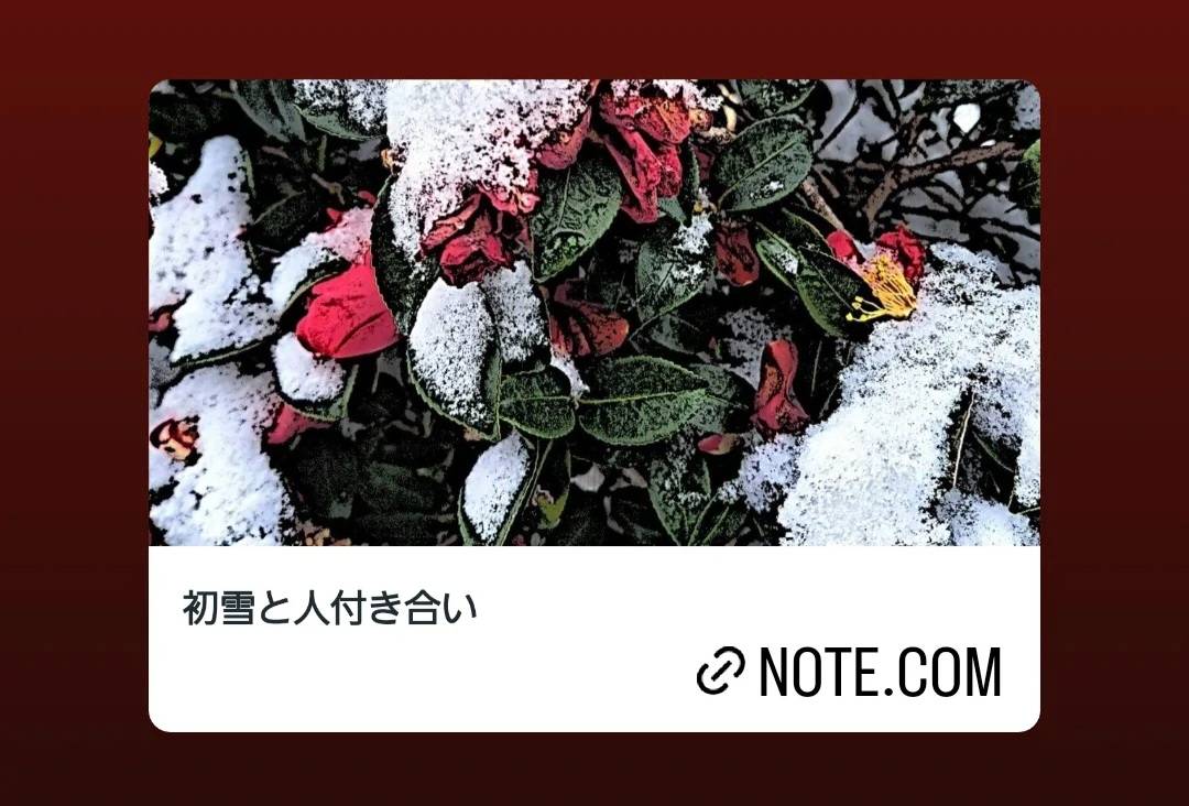 初雪と人付き合い