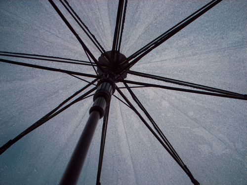 16 傘