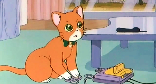 　　　＊＊＊　野良猫監督　プロフィール　＊＊＊