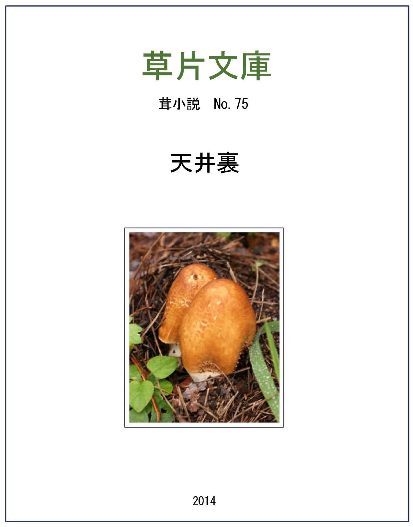 天井裏