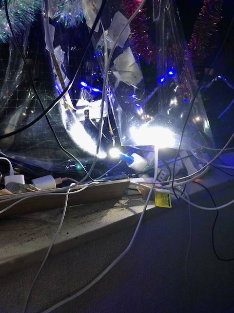 不登校児童との流れと宇宙の仕組み